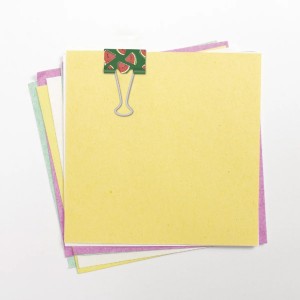 PRENDEDOR DE PAPEL HOLIC TROPICAL CART C/6 TRIS