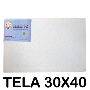 TELA PARA PINTURA 30X40 LUARTE