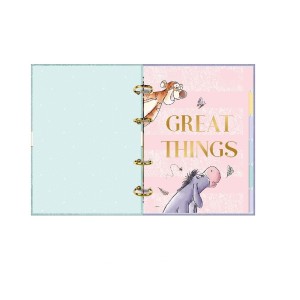 CADERNO ARGOLADO CARTONADO COLEGIAL POOH 80 FOLHAS TILIBRA