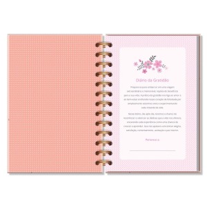 DIÁRIO DA GRATIDÃO LEVE AMOR FINA IDEIA